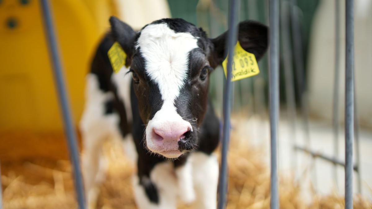 dröge gmbh-170_1280