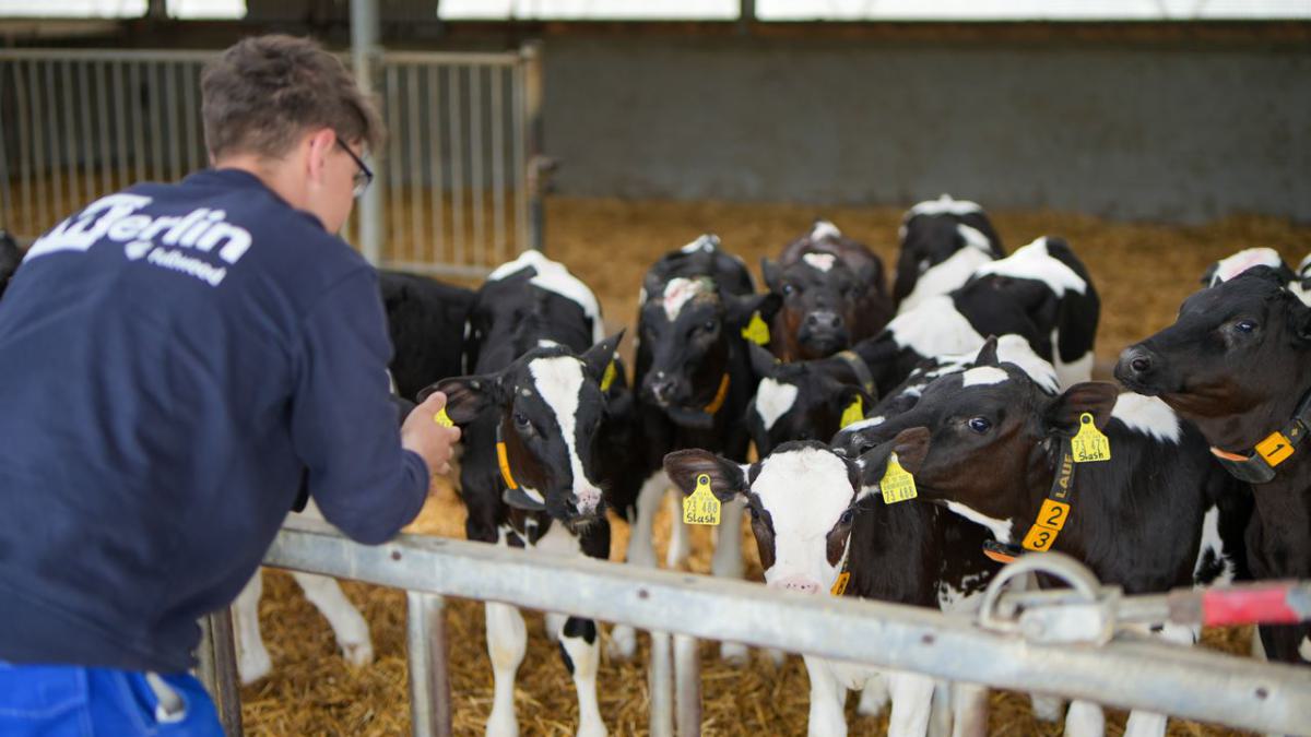 dröge gmbh-216_1280